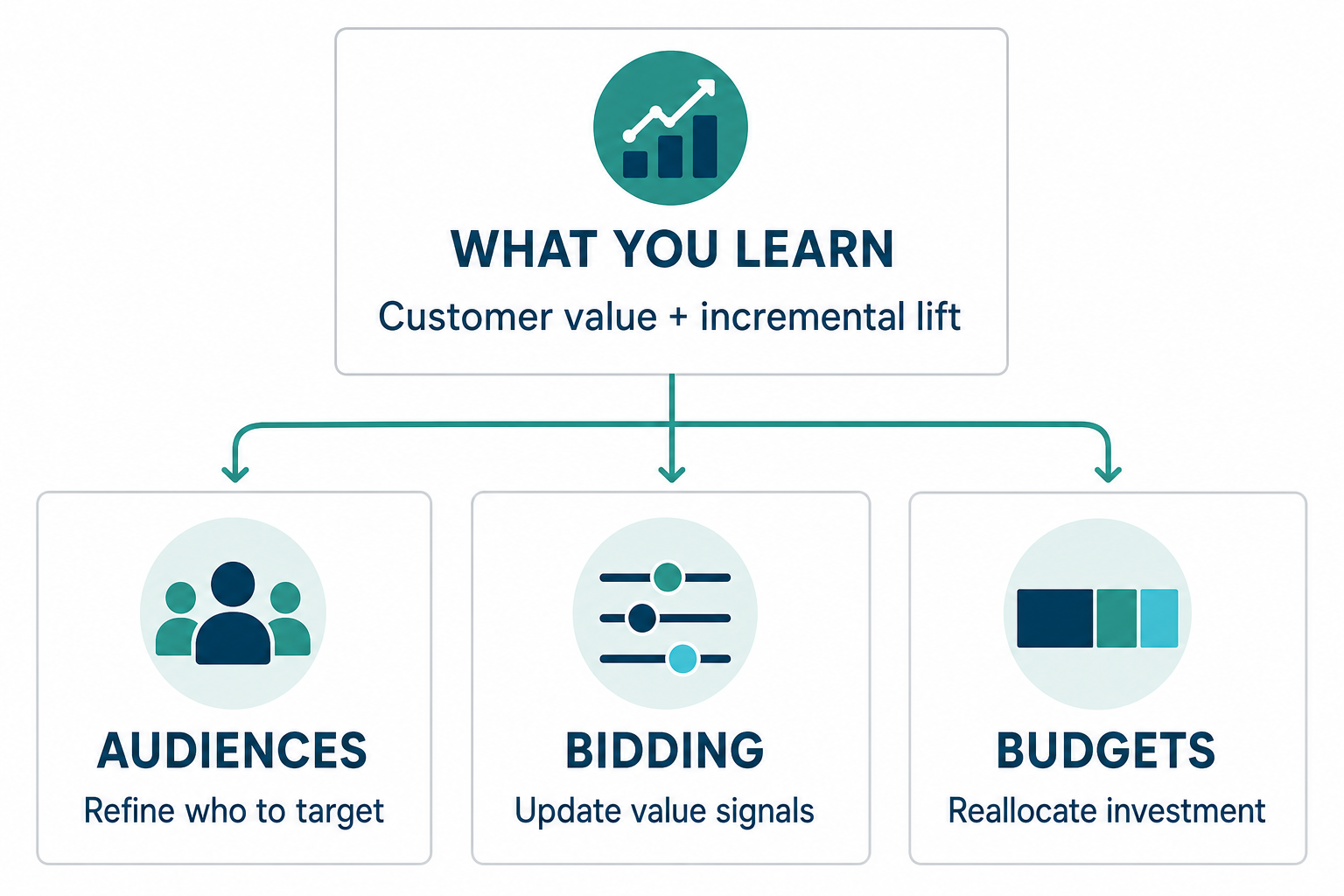 Customer value and incremental lift findings informing audience, bidding, and budget decisions